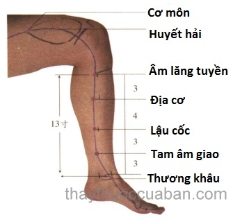 Châm cứu chữa di chứng sau tai biến như thế nào ?