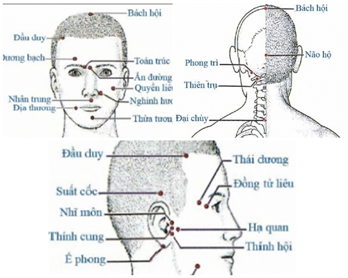 vi-tri-cac-huyet-tren-co-the-nguoi-theo-y-hoc-co-truyen-va-cong-dung