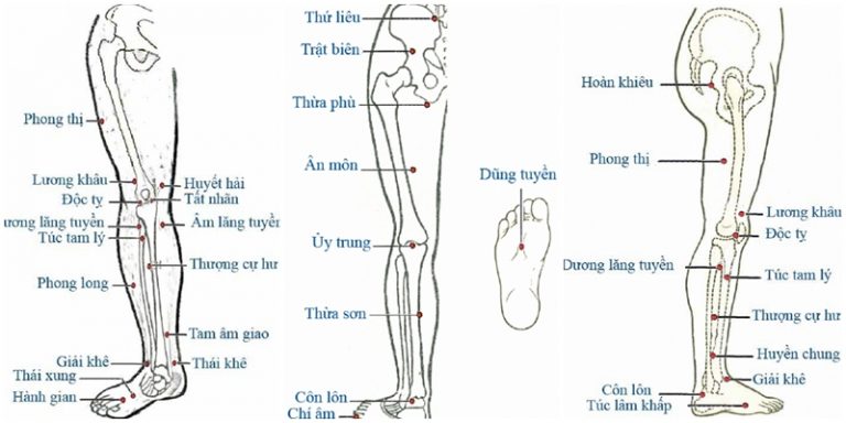 vi-tri-cac-huyet-tren-co-the-nguoi-theo-y-hoc-co-truyen-va-cong-dung